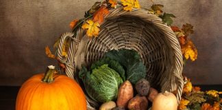 AUTUMN VEGETABLES