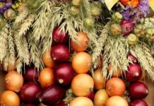 Τα εκπληκτικά οφέλη του κρεμμυδιού για την υγεία μας ONIONS