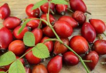 Κυνόροδα τα θαυματουργά, για καλό ανοσοποιητικό, φλεγμονές, τόνωση