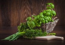 Ο βασιλικός και οι ευεργετικές του ιδιότητες