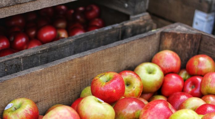 Μήλο: Πλούσιο σε οφέλη και βιταμίνες, αποτρέπει την εμφάνιση του καρκίνου RED APPLES