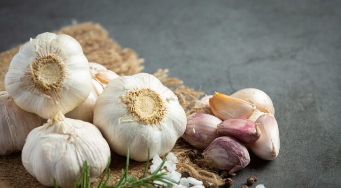 Σκόρδο, με ισχυρή θεραπευτική δύναμη GARLIC