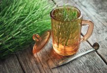 Τα βότανα που θα σας βοηθήσουν να αδυνατίσετε HERBS IN A CUP