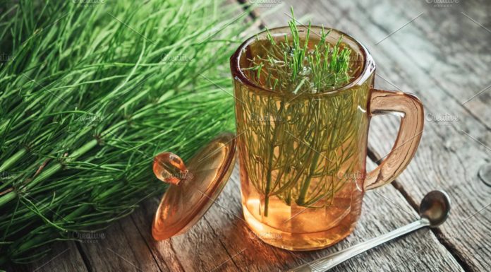 Τα βότανα που θα σας βοηθήσουν να αδυνατίσετε HERBS IN A CUP